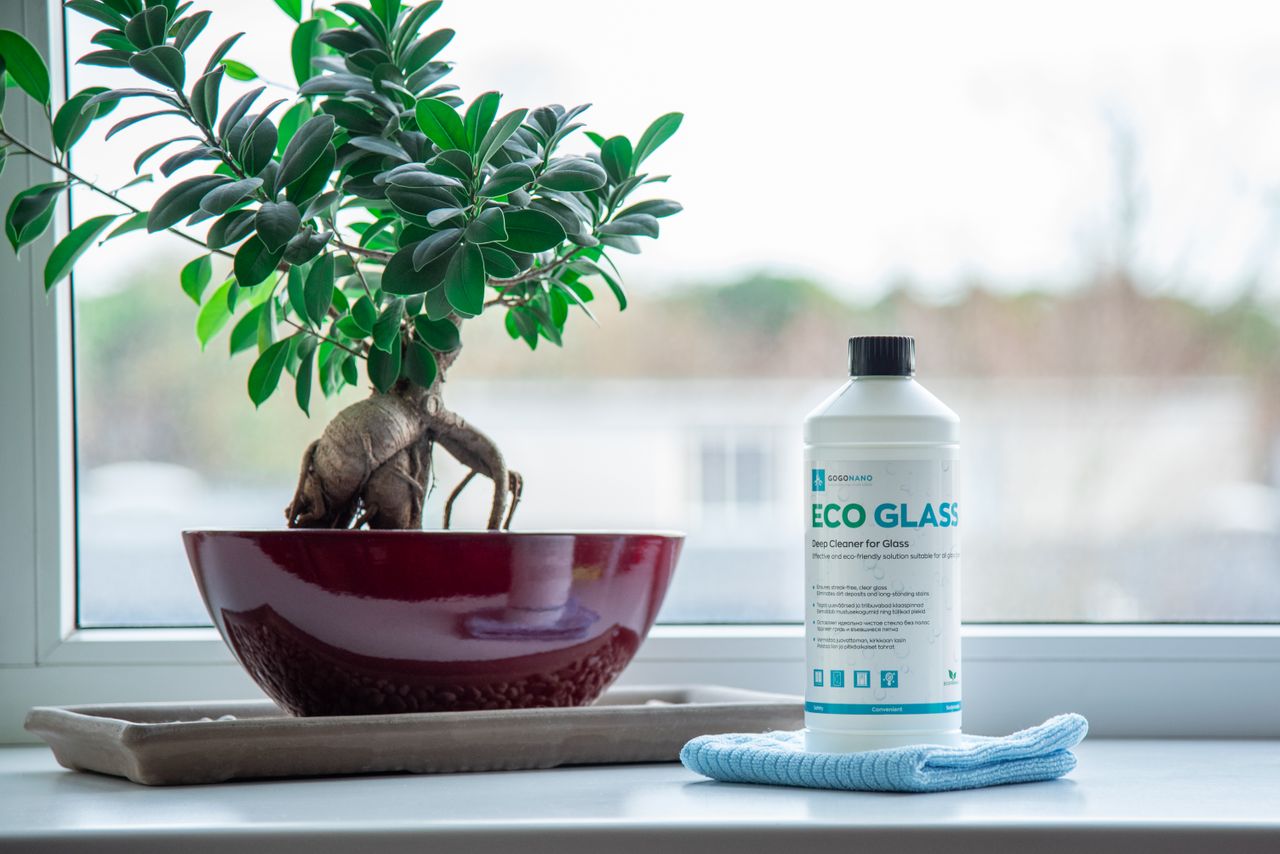 project-02-a Eco glass cleaner and bonsai plant on a windowsill in a calm indoor setting.